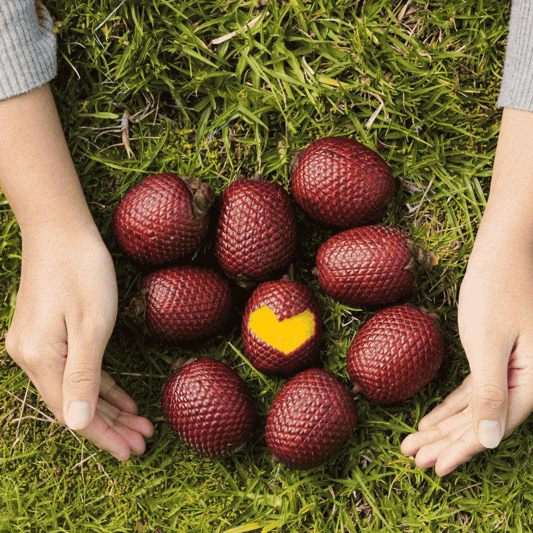 Aguaje: The Superfruit with Amazing Health Benefits 3 Aguaje (Mauritia flexuosa) supports hormonal balance in women