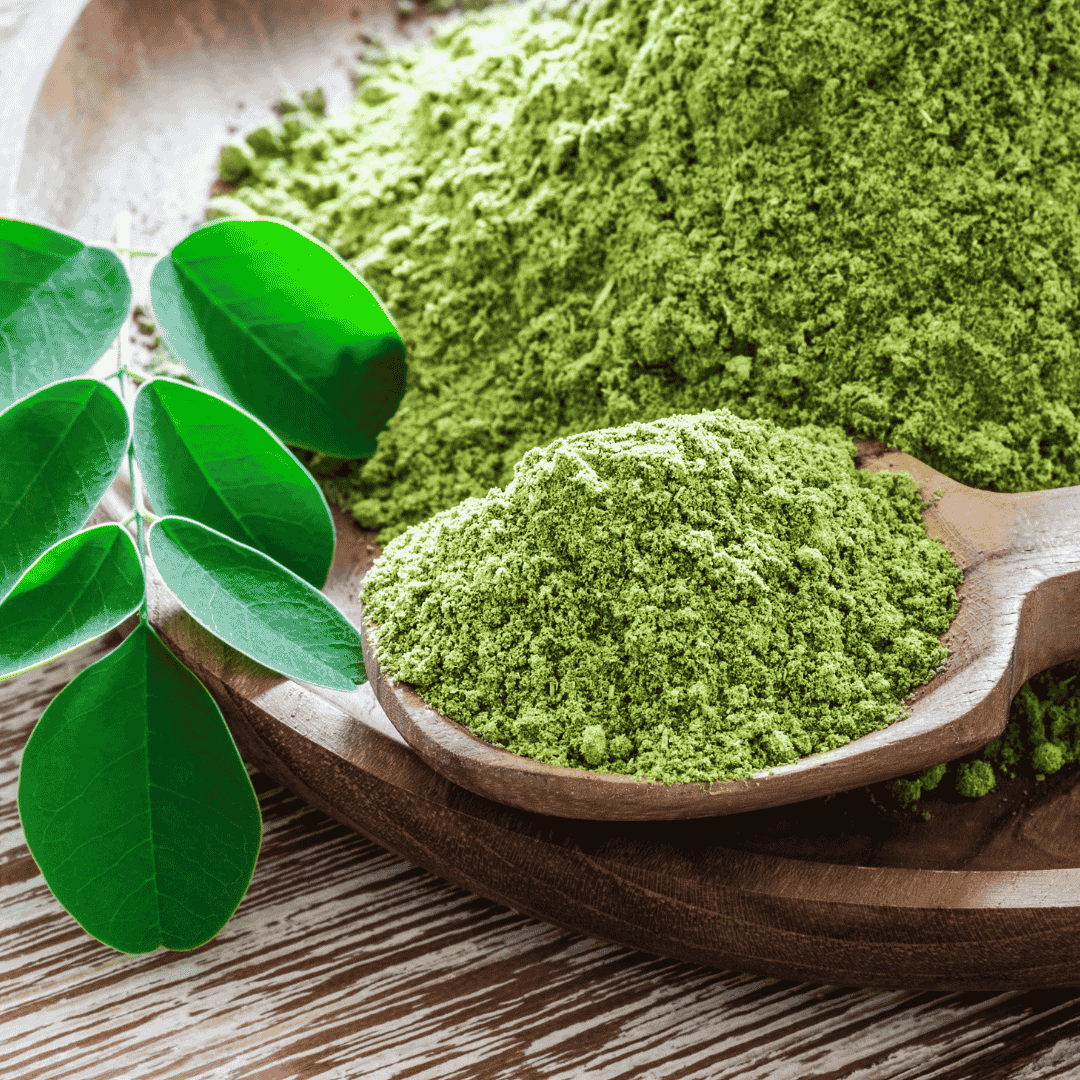 Top 10 Moringa Powder Benefits for Women 2 Top 10 moringa powder benefits for women